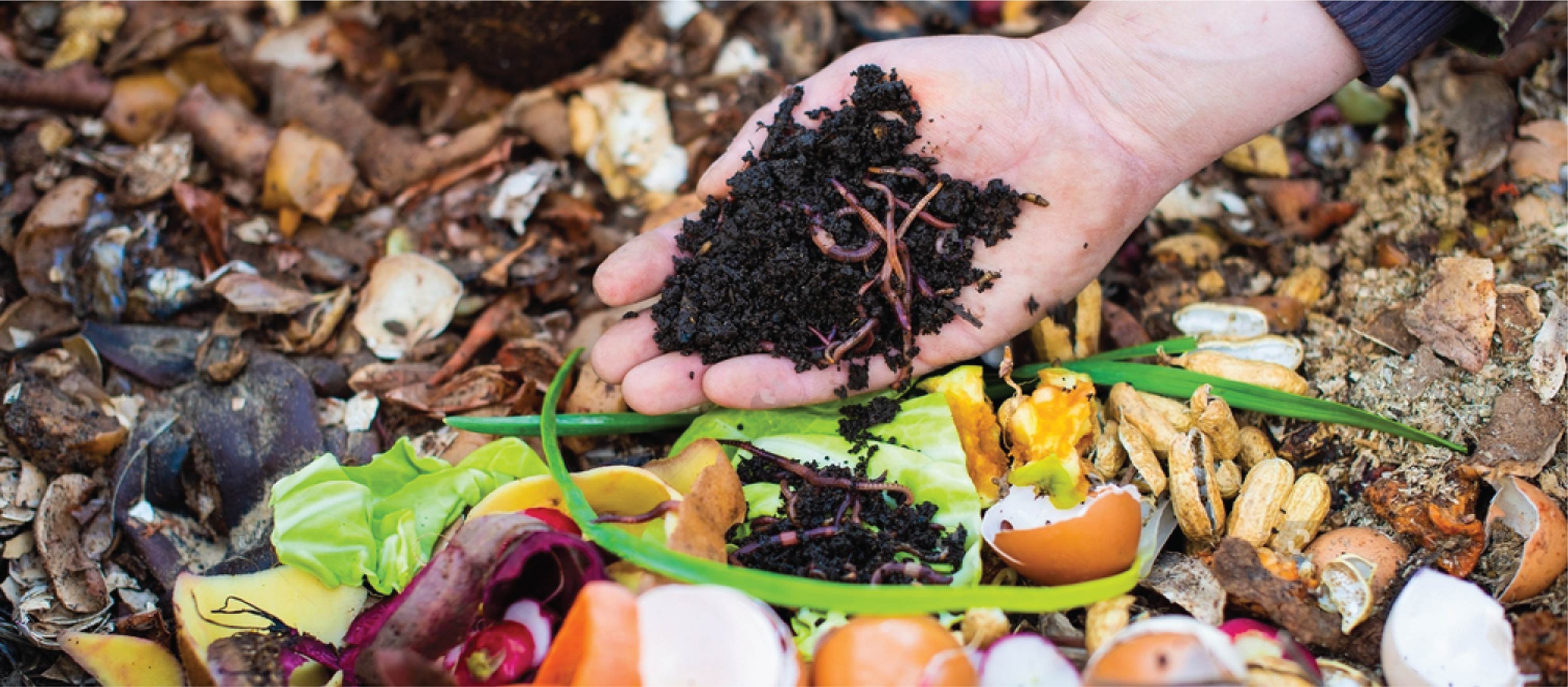 Organic waste converter